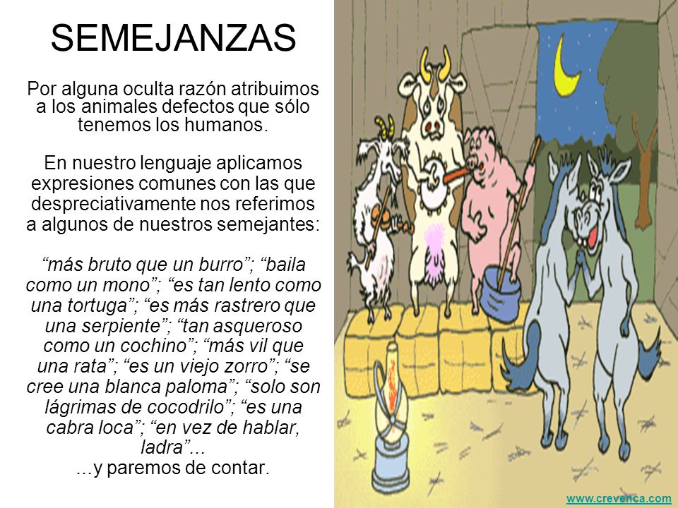 SEMEJANZAS Por alguna oculta razón atribuimos a los animales defectos que sólo tenemos los humanos.
