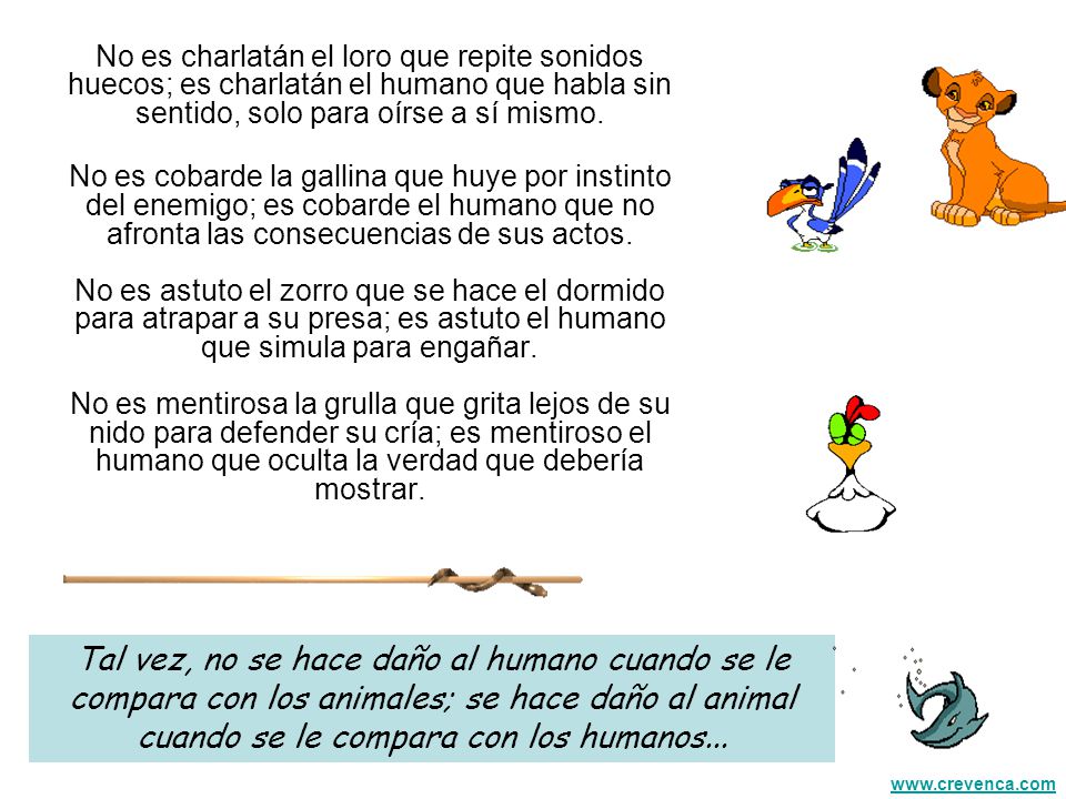 No es charlatán el loro que repite sonidos huecos; es charlatán el humano que habla sin sentido, solo para oírse a sí mismo.