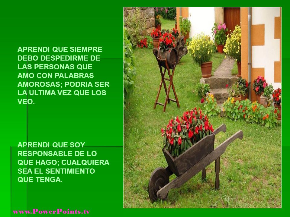 APRENDI QUE SIEMPRE DEBO DESPEDIRME DE LAS PERSONAS QUE AMO CON PALABRAS AMOROSAS; PODRIA SER LA ULTIMA VEZ QUE LOS VEO.