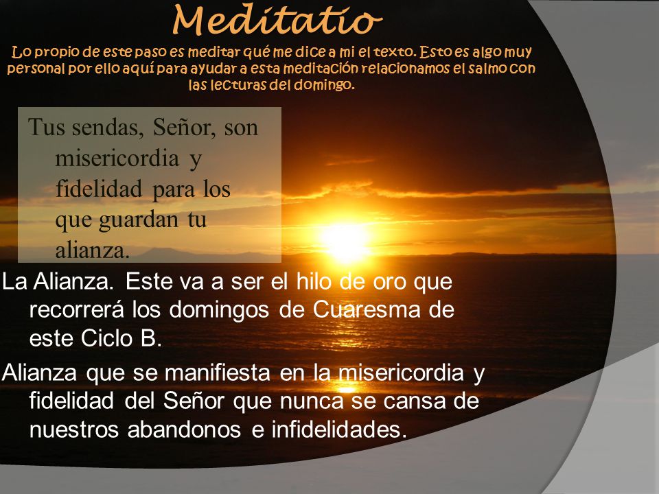 Meditatio Lo propio de este paso es meditar qué me dice a mi el texto