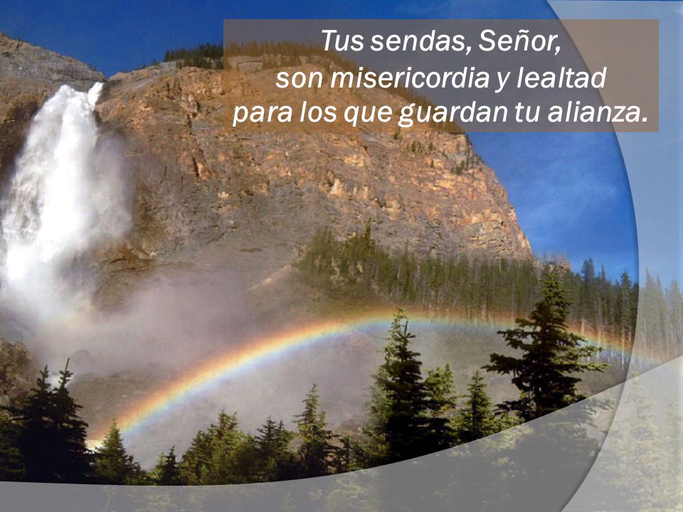 Tus sendas, Señor, son misericordia y lealtad para los que guardan tu alianza.