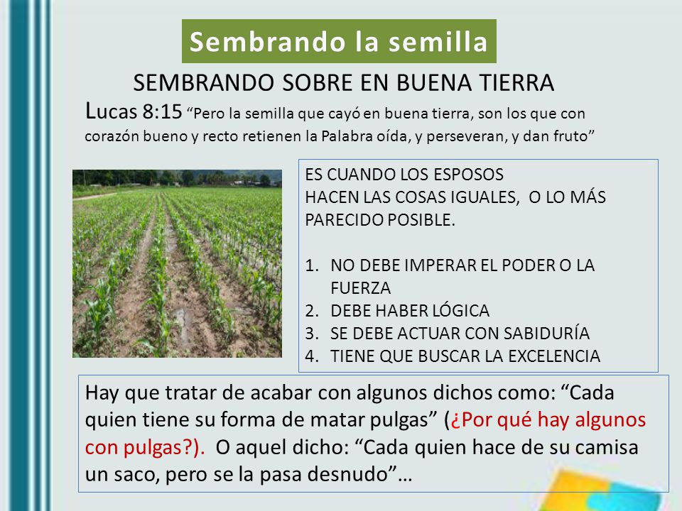 Sembrando la semilla SEMBRANDO SOBRE EN BUENA TIERRA