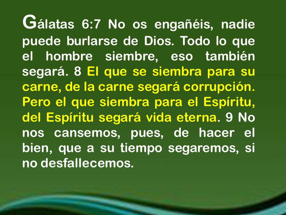Gálatas 6:7 No os engañéis, nadie puede burlarse de Dios