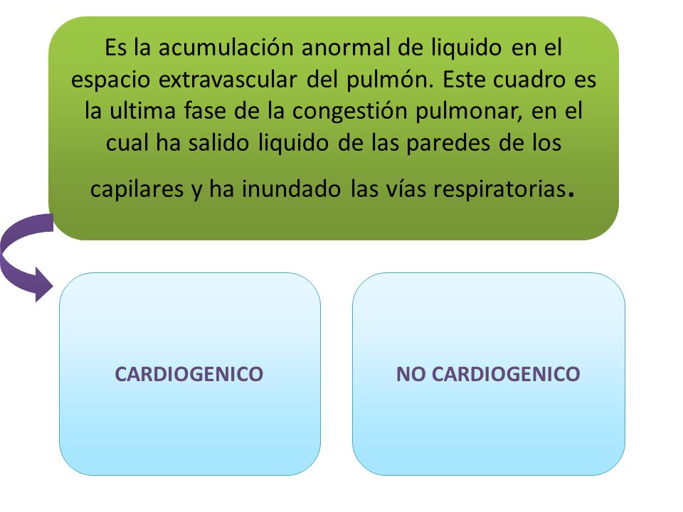 Es la acumulación anormal de liquido en el espacio extravascular del pulmón. Este cuadro es la ultima fase de la congestión pulmonar, en el cual ha salido liquido de las paredes de los capilares y ha inundado las vías respiratorias.