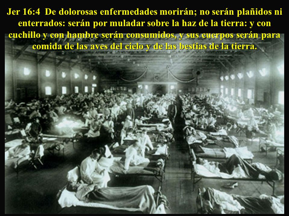 Jer 16:4 De dolorosas enfermedades morirán; no serán plañidos ni enterrados: serán por muladar sobre la haz de la tierra: y con cuchillo y con hambre serán consumidos, y sus cuerpos serán para comida de las aves del cielo y de las bestias de la tierra.