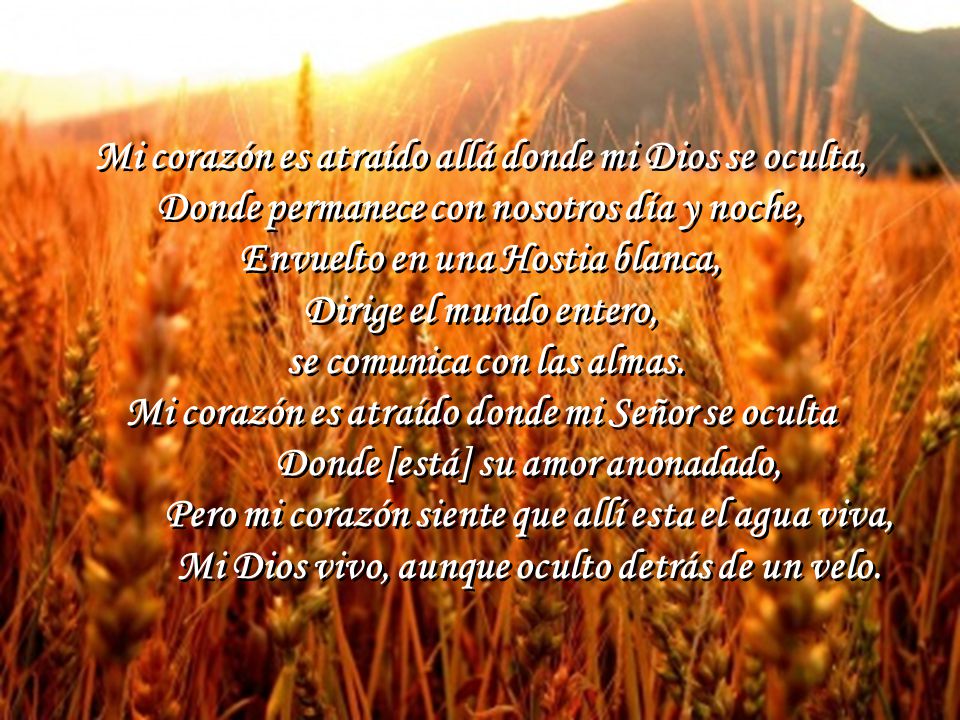 Mi corazón es atraído allá donde mi Dios se oculta,