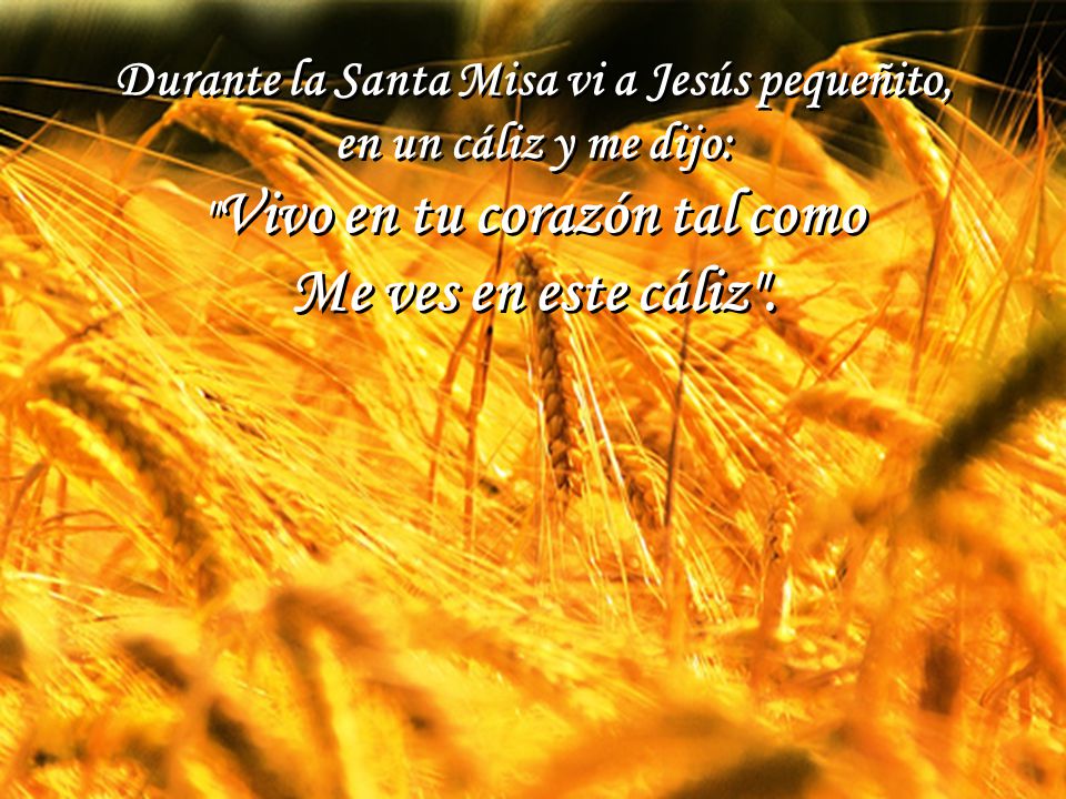 Me ves en este cáliz . Durante la Santa Misa vi a Jesús pequeñito,