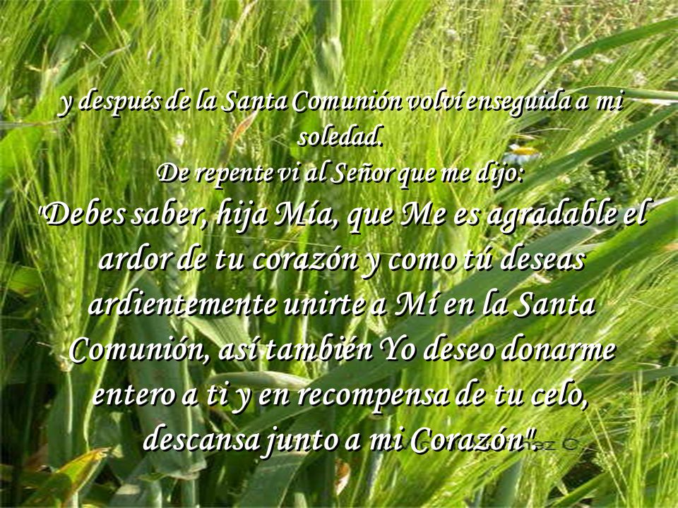 y después de la Santa Comunión volví enseguida a mi soledad.