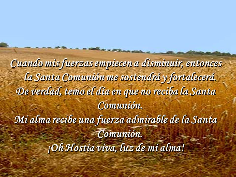 De verdad, temo el día en que no reciba la Santa Comunión.