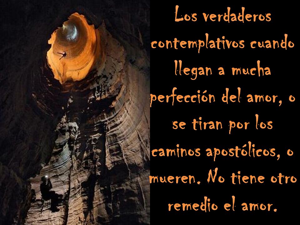 Los verdaderos contemplativos cuando llegan a mucha perfección del amor, o se tiran por los caminos apostólicos, o mueren.