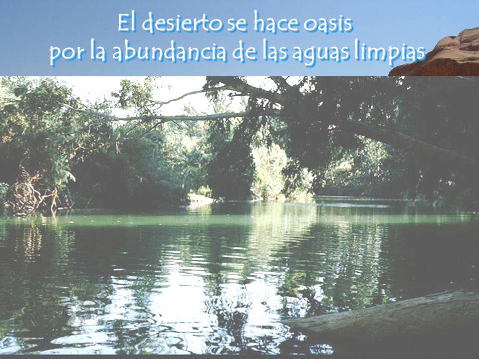 El desierto se hace oasis por la abundancia de las aguas limpias