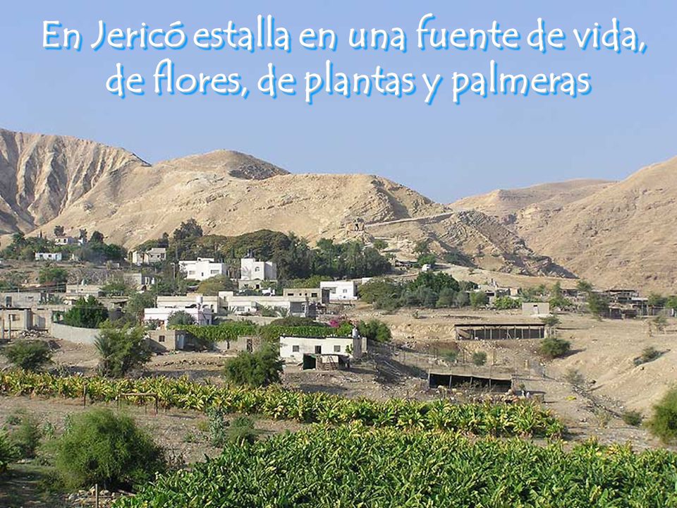 En Jericó estalla en una fuente de vida,