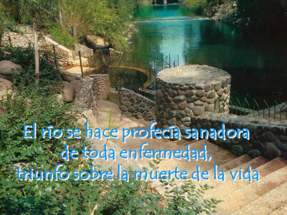 El río se hace profecía sanadora triunfo sobre la muerte de la vida