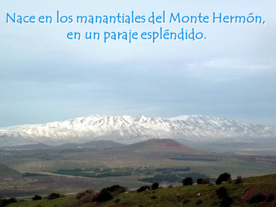 Nace en los manantiales del Monte Hermón, en un paraje espléndido.