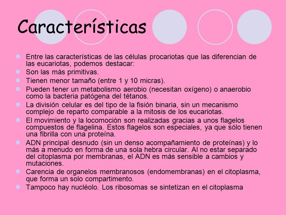 Características Entre las características de las células procariotas que las diferencian de las eucariotas, podemos destacar: