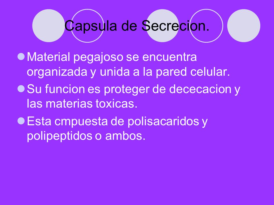 Capsula de Secrecion. Material pegajoso se encuentra organizada y unida a la pared celular.
