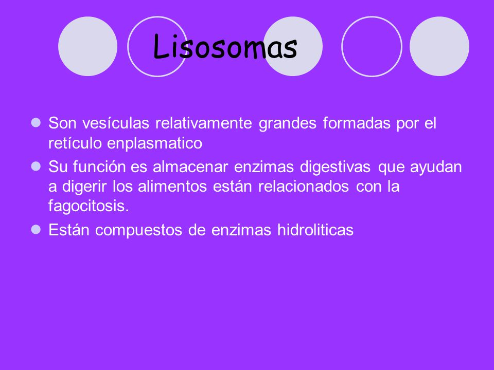 Lisosomas Son vesículas relativamente grandes formadas por el retículo enplasmatico.