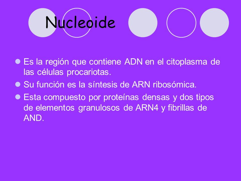 Nucleoide Es la región que contiene ADN en el citoplasma de las células procariotas. Su función es la síntesis de ARN ribosómica.