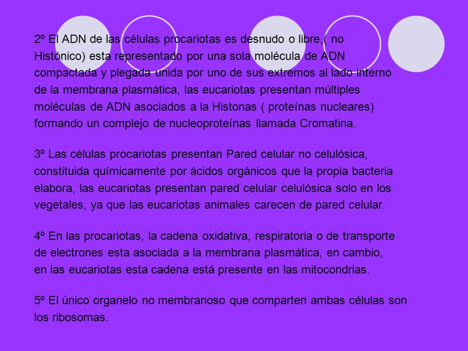 2º El ADN de las células procariotas es desnudo o libre,( no