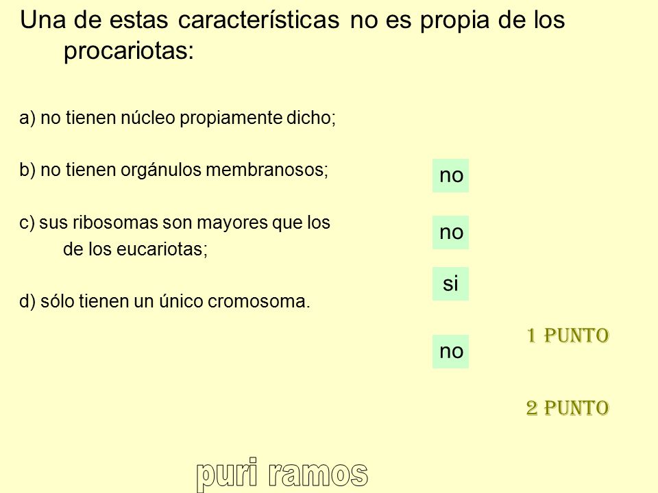 Una de estas características no es propia de los procariotas: