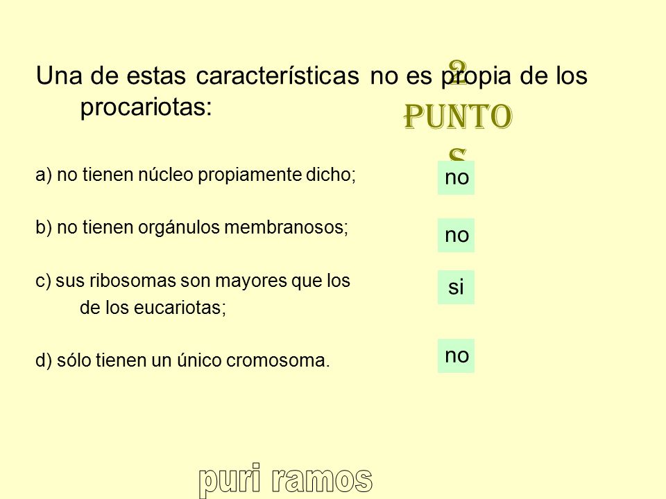 2 puntos Una de estas características no es propia de los procariotas: