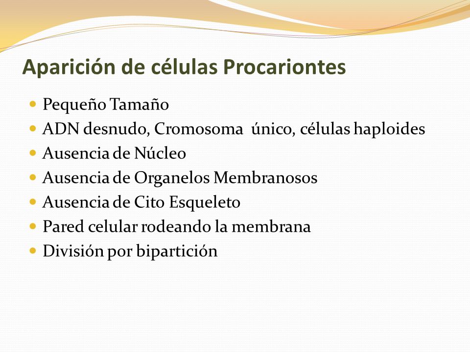 Aparición de células Procariontes