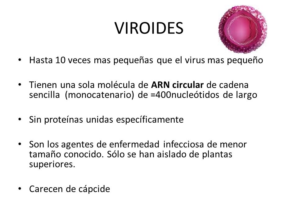 VIROIDES Hasta 10 veces mas pequeñas que el virus mas pequeño