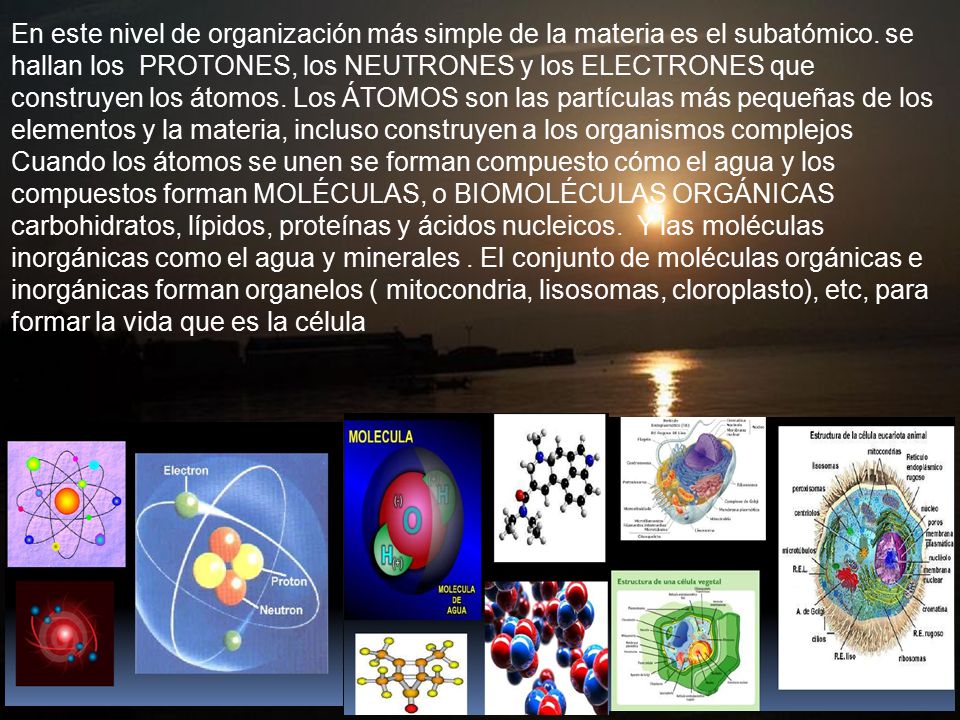 En este nivel de organización más simple de la materia es el subatómico.