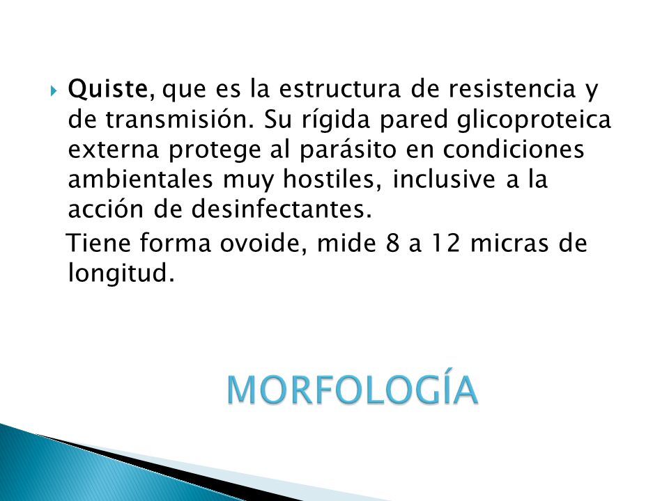 Quiste, que es la estructura de resistencia y de transmisión