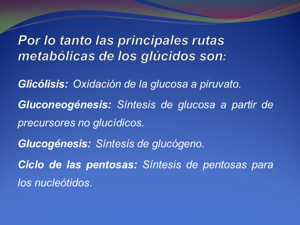 Por lo tanto las principales rutas metabólicas de los glúcidos son: