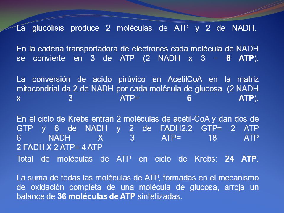 La glucólisis produce 2 moléculas de ATP y 2 de NADH.