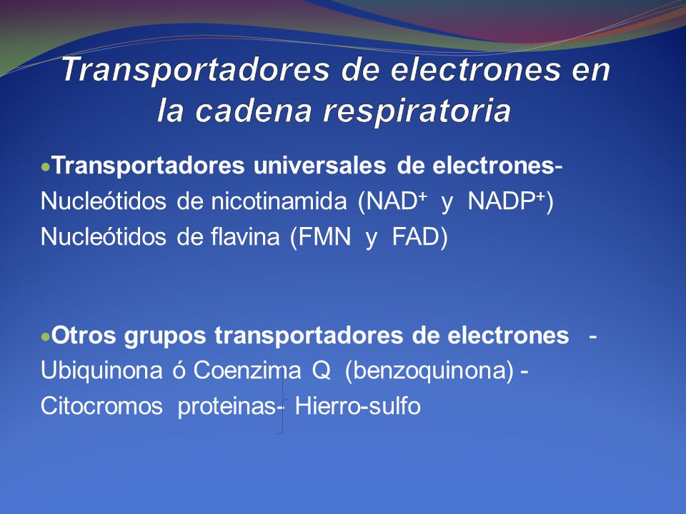 Transportadores de electrones en la cadena respiratoria