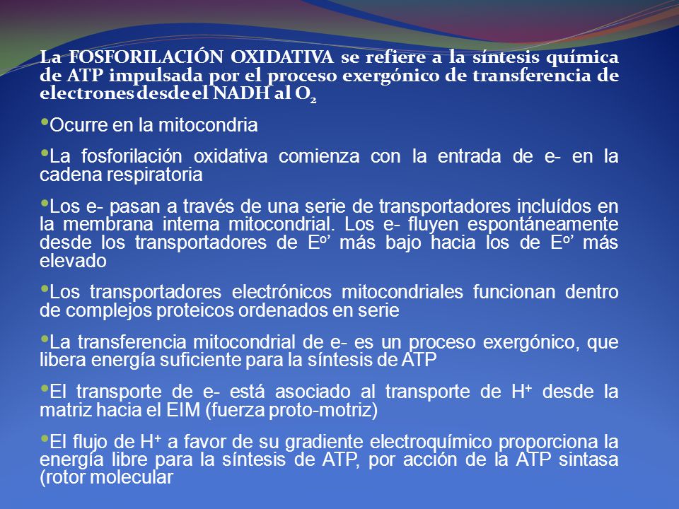 La FOSFORILACIÓN OXIDATIVA se refiere a la síntesis química de ATP impulsada por el proceso exergónico de transferencia de electrones desde el NADH al O2