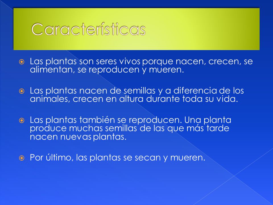 Características Las plantas son seres vivos porque nacen, crecen, se alimentan, se reproducen y mueren.