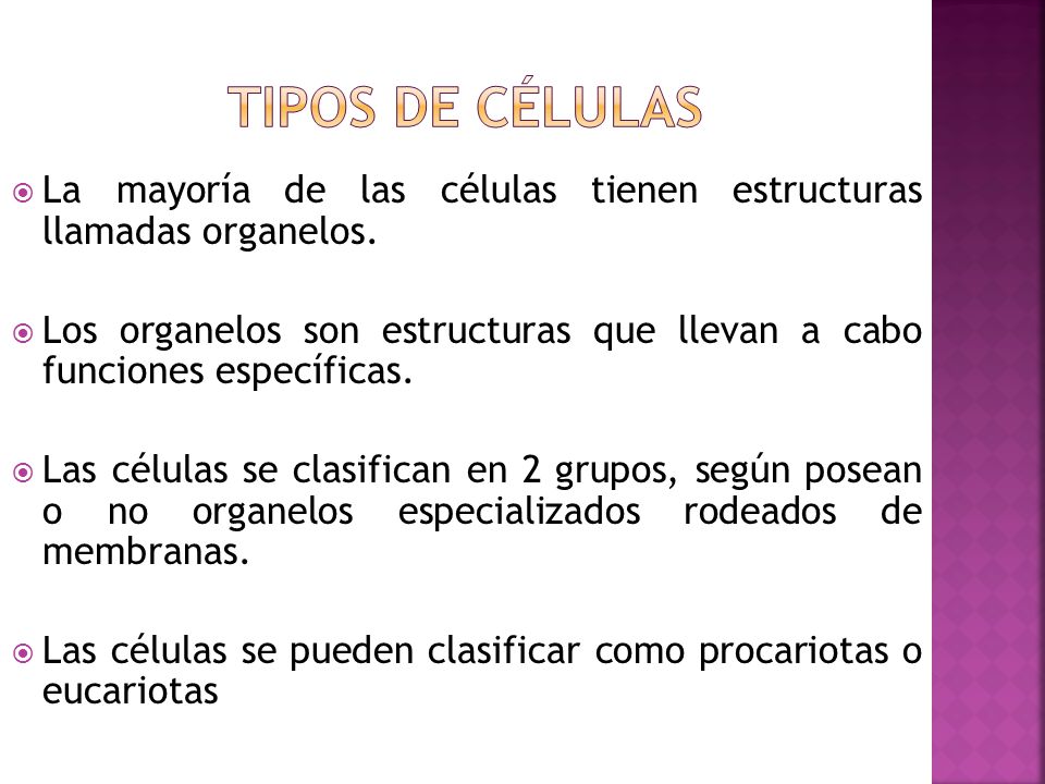 Tipos de células La mayoría de las células tienen estructuras llamadas organelos.