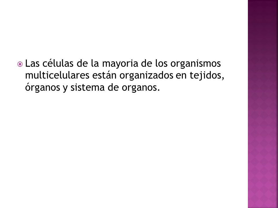 Las células de la mayoria de los organismos multicelulares están organizados en tejidos, órganos y sistema de organos.