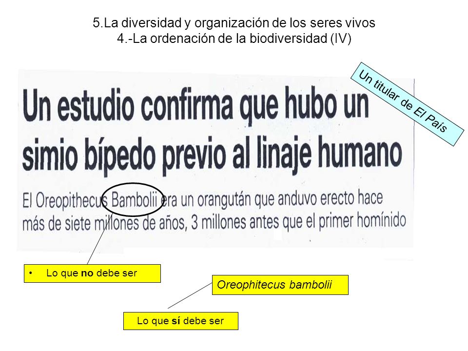 5. La diversidad y organización de los seres vivos 4