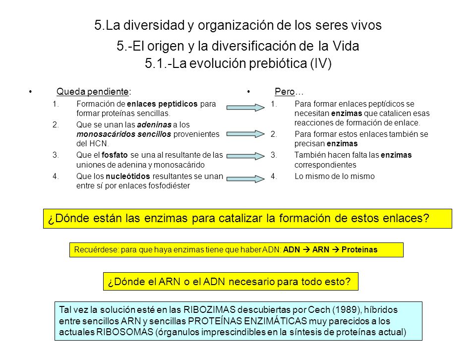 5. La diversidad y organización de los seres vivos 5
