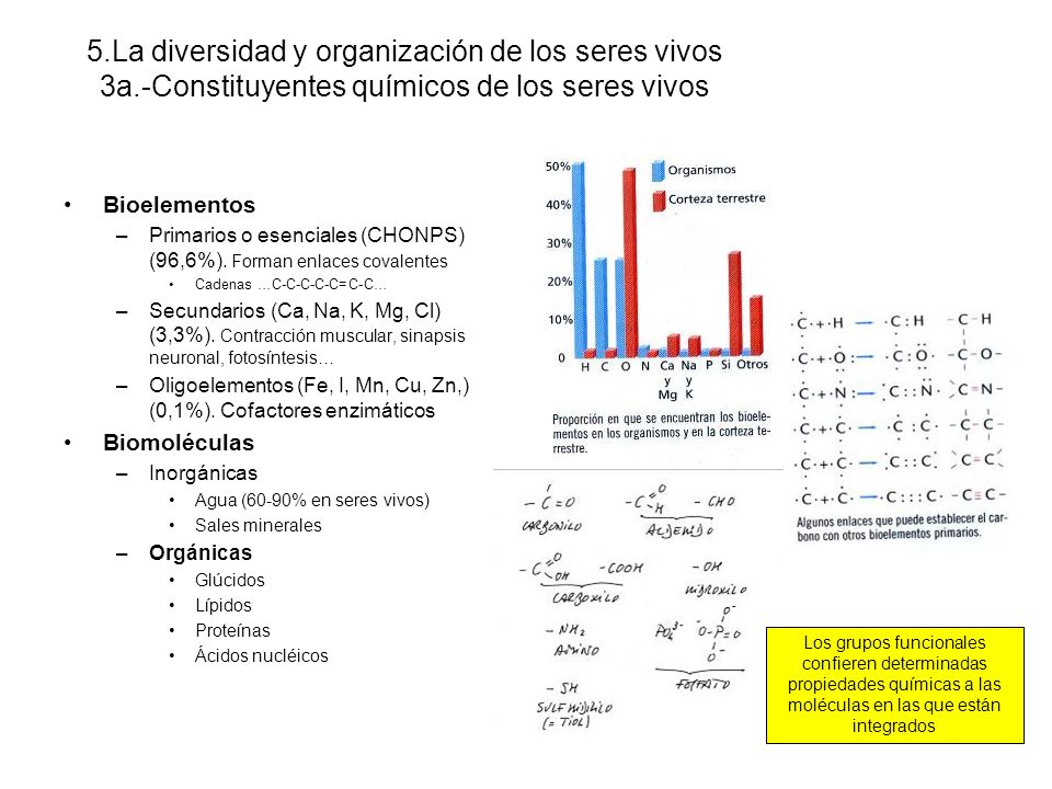 5. La diversidad y organización de los seres vivos 3a