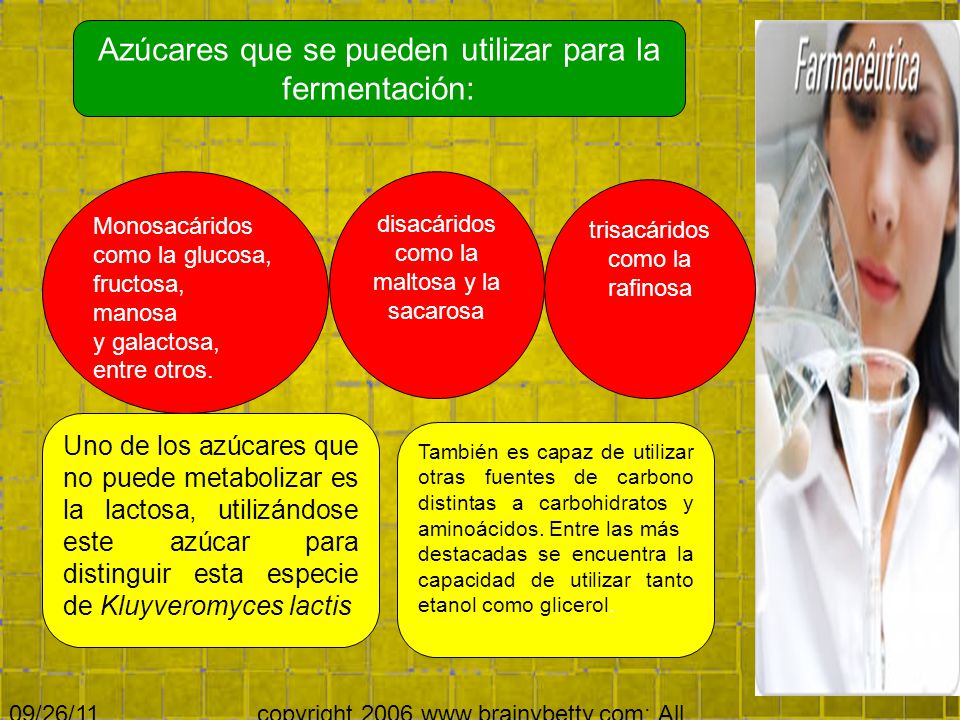 Azúcares que se pueden utilizar para la fermentación: