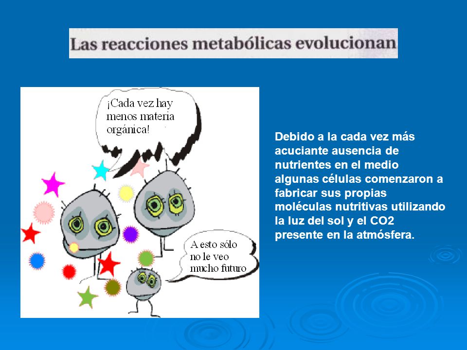 Debido a la cada vez más acuciante ausencia de nutrientes en el medio algunas células comenzaron a fabricar sus propias moléculas nutritivas utilizando la luz del sol y el CO2 presente en la atmósfera.
