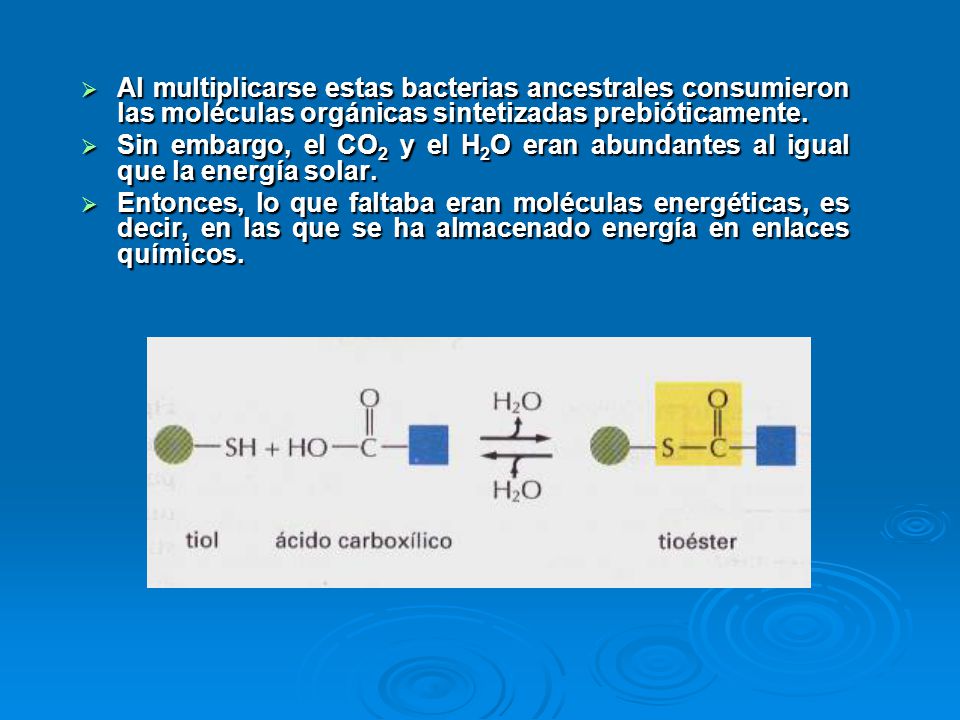 Al multiplicarse estas bacterias ancestrales consumieron las moléculas orgánicas sintetizadas prebióticamente.