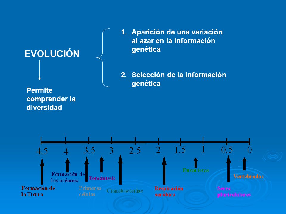Aparición de una variación al azar en la información genética
