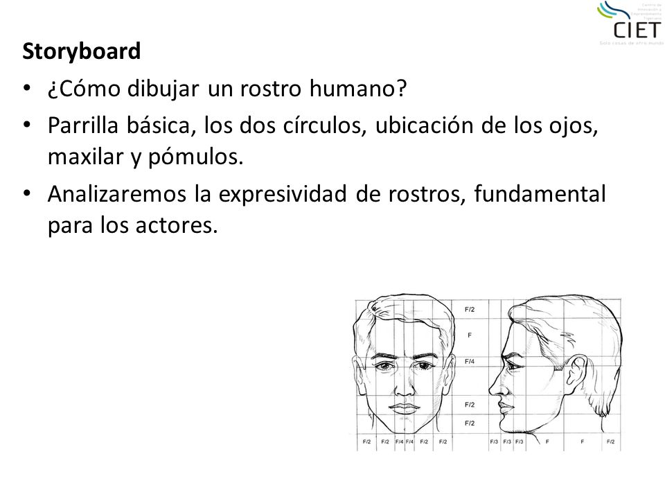 Storyboard ¿Cómo dibujar un rostro humano Parrilla básica, los dos círculos, ubicación de los ojos, maxilar y pómulos.