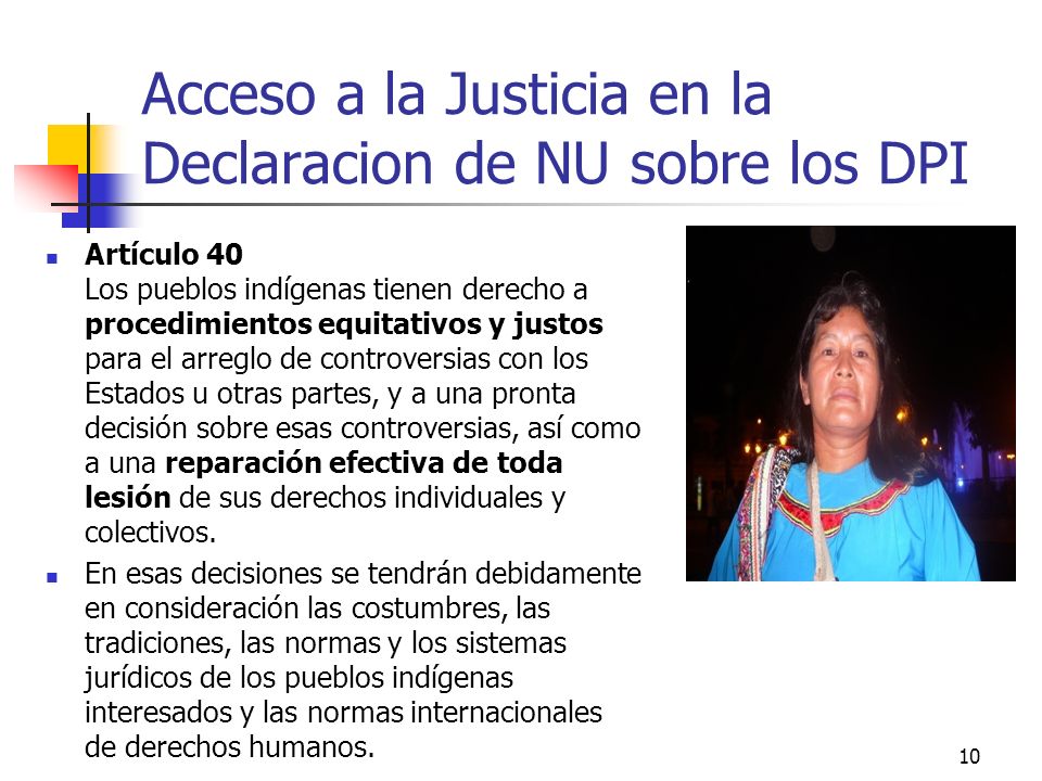 Acceso a la Justicia en la Declaracion de NU sobre los DPI