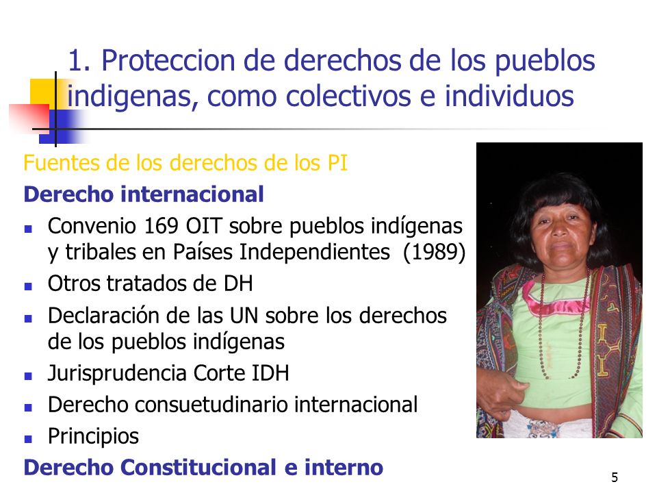 1. Proteccion de derechos de los pueblos indigenas, como colectivos e individuos