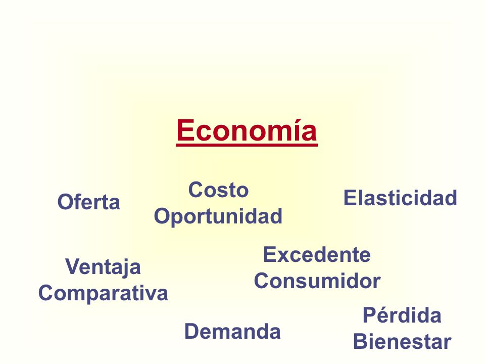 Economía Costo Oportunidad Elasticidad Oferta Excedente Consumidor