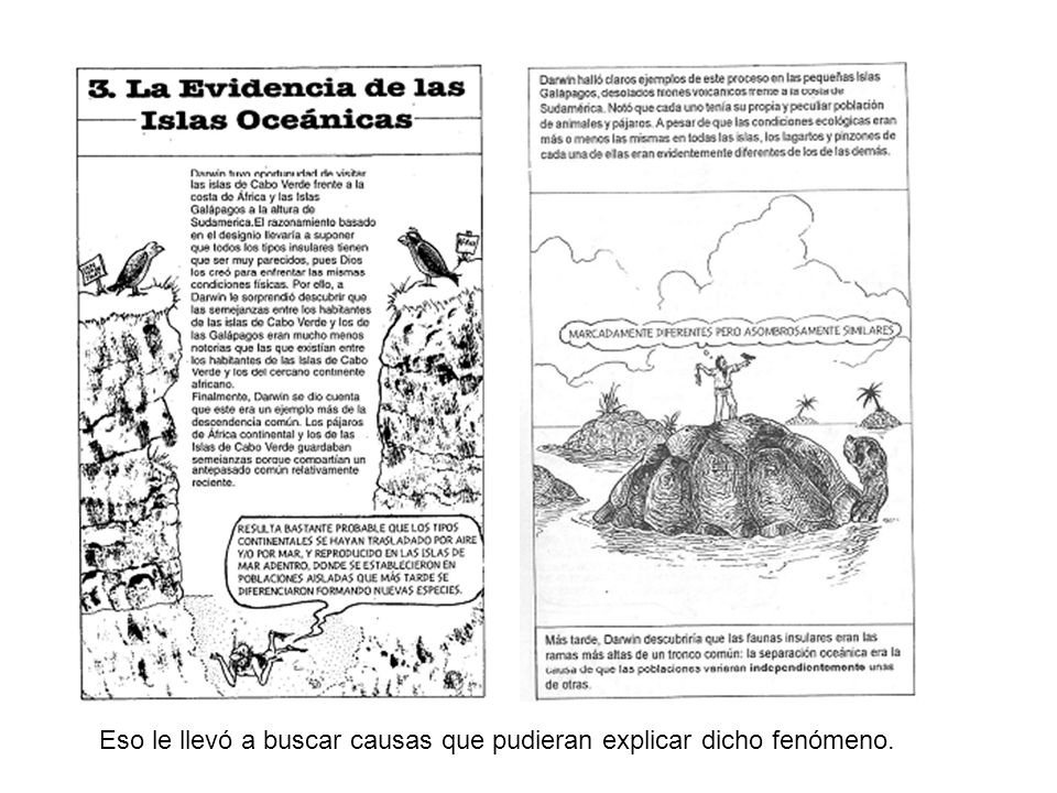 Eso le llevó a buscar causas que pudieran explicar dicho fenómeno.