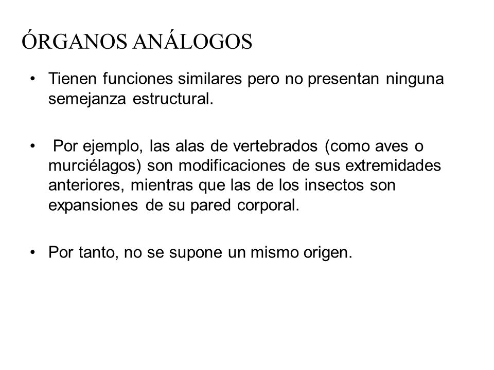 ÓRGANOS ANÁLOGOS Tienen funciones similares pero no presentan ninguna semejanza estructural.