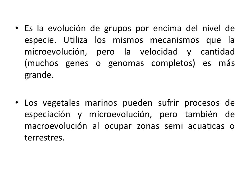 Es la evolución de grupos por encima del nivel de especie